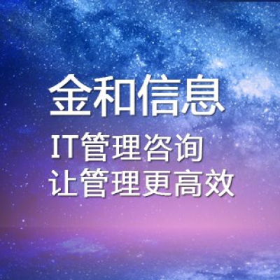 IT管理咨询
