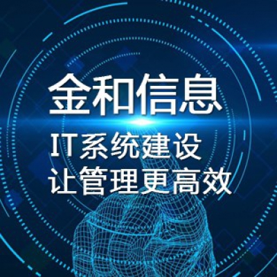IT系统建设