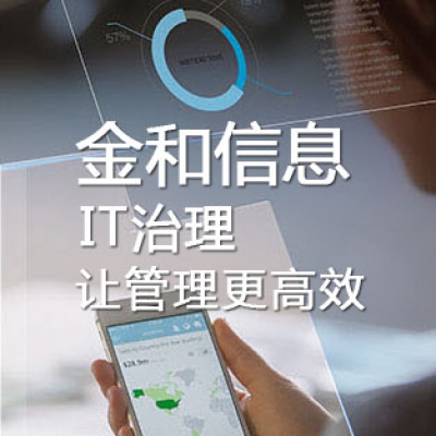 IT治理