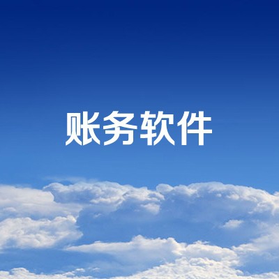 账务软件